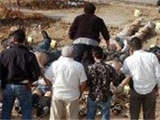 Bóng đá anh, ngoại hạng anh, lịch thi đấu euro 2012, Gần nửa dân Mexico tin rằng cuộc chiến ma túy đã thất bại 